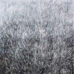 Lawn 3,2009,Oil on canvas, 200cmx200cm-s